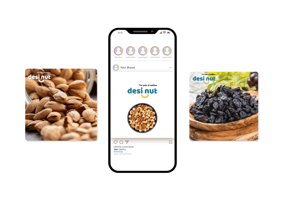 Elevating Desi Nut with Brand & Packaging Design